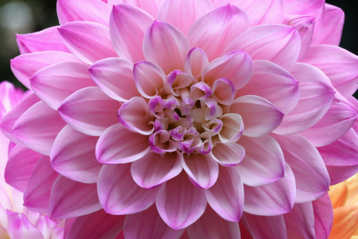 868356 (a): :2800x1866